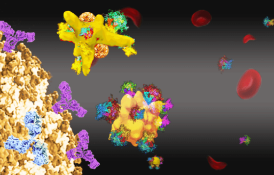 graphic showing nanoscale vaccine at work